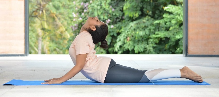 Bhujangasana-inline