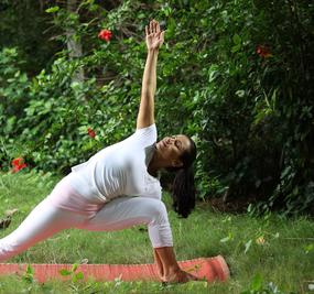 Parsvakonasana extended side angle pose