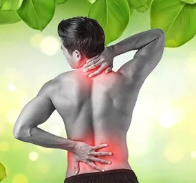 Ayurveda for back pain relief