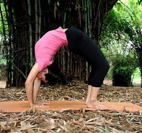 chakrasana wheel pose