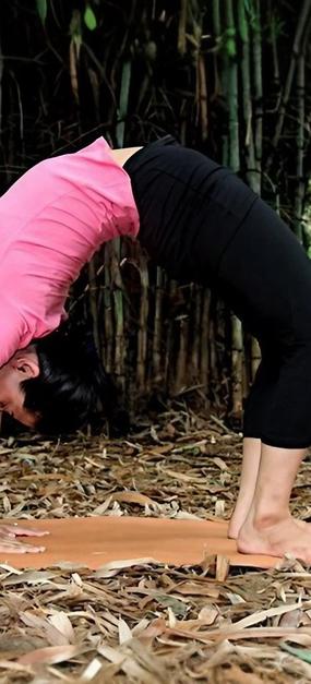 chakrasana wheel pose