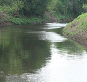 Water Rejuvenation in Palar River