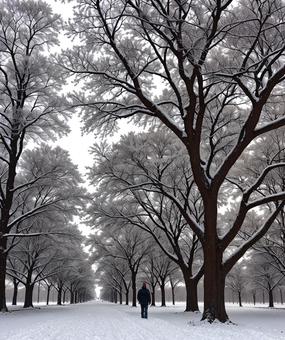 Meditation - Winter blues - Man walking in snow clad forest