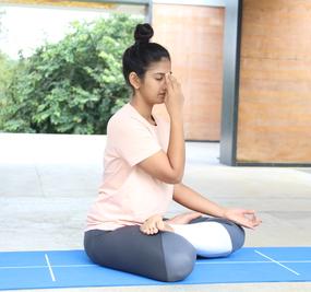 what is pranayama